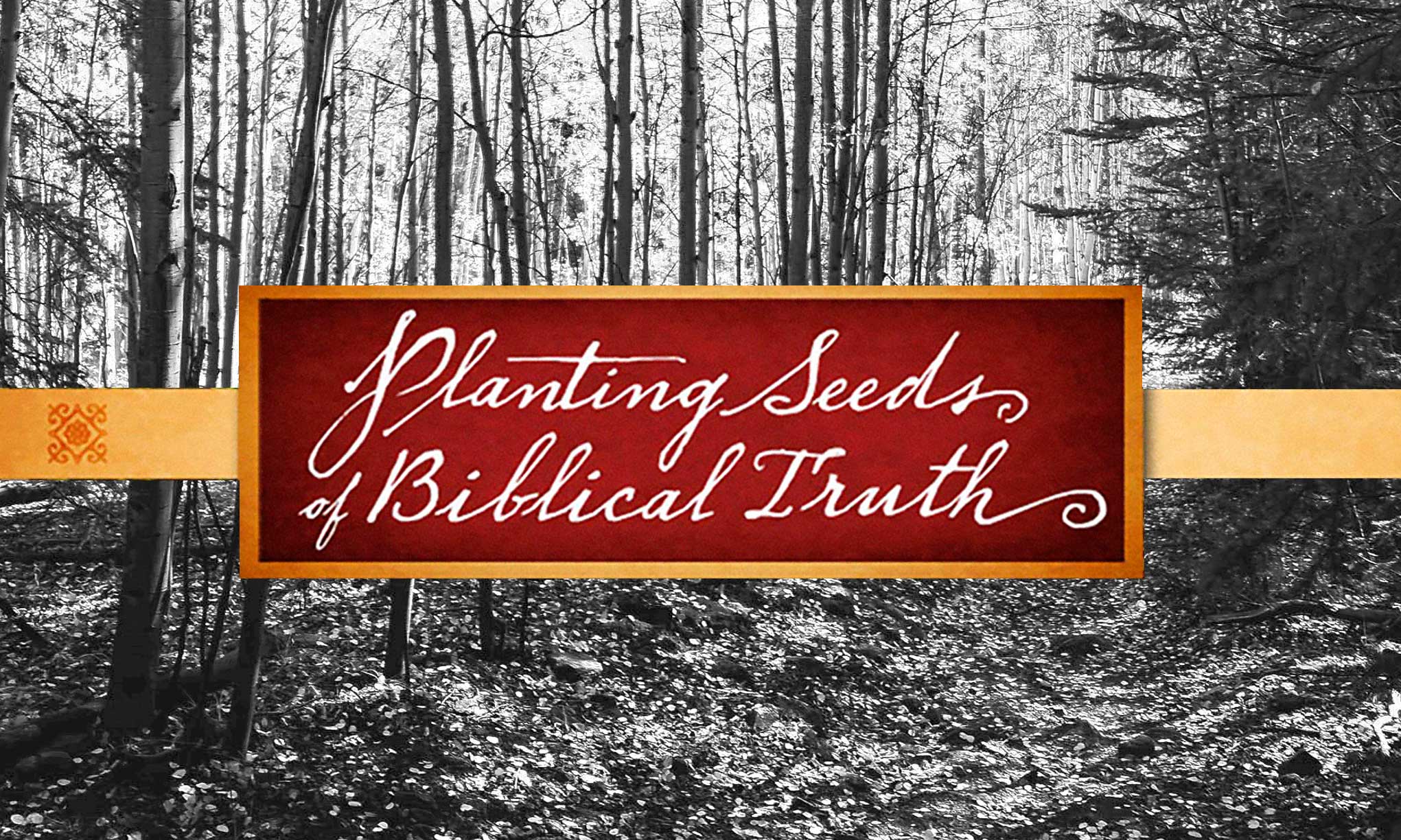 Free Planting Seeds of Biblical Truth Focus on the Family Canada